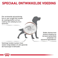 Royal Canin Gastrointestinal High Fibre Hond -Bekend Hondenspullen Winkel 0RfT5GcYlB6CwXEOcIf67bsir9yZhq metaR0FTVFJPSU5URVNUSU5BTC1ISUdILUZJQlJFLTMuanBn