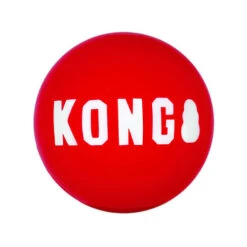 KONG Signature Ball -Bekend Hondenspullen Winkel 39fb882df105d3cc43abba03eabaef46bb9c3fd3c36a29b9fb10efd04a9bac85 3