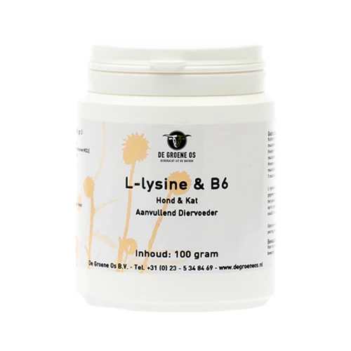 Groene Os L-Lysine B6 - Hond/Kat 3 Groene Os L-Lysine B6 - Hond/Kat - Afbeelding 3
