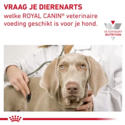 Royal Canin Gastrointestinal High Fibre Hond -Bekend Hondenspullen Winkel 3pRt4qKrQoxHulfJKVdpAVEM4Nm5L0 metaR0FTVFJPSU5URVNUSU5BTC1ISUdILUZJQlJFLTkgLSBrb3BpZS5qcGc