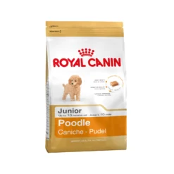 Royal Canin Poodle Puppy - Hondenvoer -Bekend Hondenspullen Winkel 436b725a54e04450a152307104fff881d30701f33ef9f6444b37bb1429ece5ba 3 5