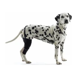 Kruuse Rehab Kniebeschermer 30 Kruuse Rehab Kniebeschermer -Bekend Hondenspullen Winkel 4957a3ffd358747033d0cbd01a841546f7ef4b029671e5bba61aa3b01314bd37 3