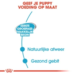 Royal Canin Starter Mousse Mother & Babydog - Hondenvoer 12 Royal Canin Starter Mousse Mother & Babydog - Hondenvoer -Bekend Hondenspullen Winkel 4BbNtC7cXKeUzenCJB06d6YBi6Fpcj metaUm95YWwtQ2FuaW4tU3RhcnRlci1Nb3Vzc2UtTW90aGVyLSYtQmFieWRvZ18wMi5qcGc