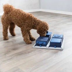 Trixie Dog Activity Poker Box 5 Trixie Dog Activity Poker Box -Bekend Hondenspullen Winkel 4GNYmJCarjjHju4owvcW13MD7XvhnS metaVHJpeGllLURvZy1BY3Rpdml0eS1Qb2tlci1Cb3gtMi5qcGc