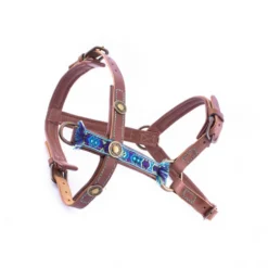 DWAM Hondentuigje Boho Juan -Bekend Hondenspullen Winkel 4a136a178673ebb6998174c8da4d58d21714564dd3a8bc41f3efa5480e657e5d 3