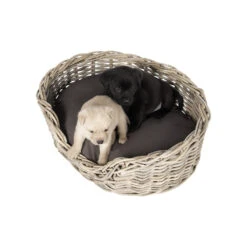 51 Degrees North Rattan Basket -Bekend Hondenspullen Winkel 51 degrees north rattan basket 209954 1000 none