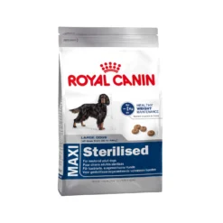 Royal Canin Maxi Sterilised - Hondenvoer 23 Royal Canin Maxi Sterilised - Hondenvoer -Bekend Hondenspullen Winkel 5f77108fb9ce130176ff98f97fc1a60a247d32b38d77d4cc01e4e4a680ffbb52 4