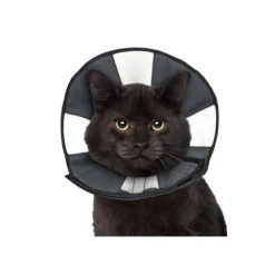 ZenPet Zen Collar -Bekend Hondenspullen Winkel 5fa3157a14f70df4dd8f78f7dfb875f7f1cb86091b42f76f641d5ca739d2fc19 3