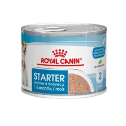 Royal Canin Starter Mousse Mother & Babydog - Hondenvoer 10 Royal Canin Starter Mousse Mother & Babydog - Hondenvoer -Bekend Hondenspullen Winkel 5z2JtRtb3ObJ7xpTKaN2xq612CRFcN metacm95YWxfY2FuaW5fc3RhcnRlcl9tb3Vzc2VfbW90aGVyX2JhYnlkb2dfX2hvbmRlbnZvZXJfMjA3MjkwXzA1MDBfbm9uZS5qcGc