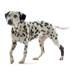 Kruuse Rehab Hakbeschermer -Bekend Hondenspullen Winkel 86bf624166a0c14137b3884321bf605a2cd7572e3a71a94cd2a099e5a9139681 3