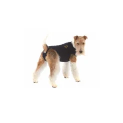 Medical Pet Shirt Hond -Bekend Hondenspullen Winkel 8f0c29a74e121981e0a608cdef894d5689ea7ab3870abc72a691b7fa23619efa 3