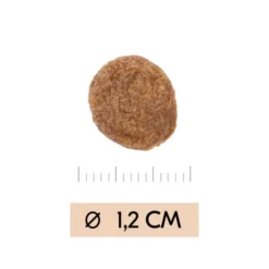 Vetality Gastrointestinal - Hondenvoer -Bekend Hondenspullen Winkel B8NEQsyeCQch4UgKShIZcxtA0bCPPX metadmV0YWxpdHlfZ2FzdHJvaW50ZXN0aW5hbF9faG9uZGVudm9lcl8xOTU0NDlfMDUwMF9ub25lLmpwZw