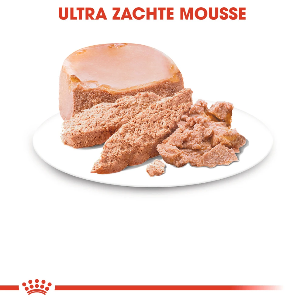 Royal Canin Starter Mousse Mother & Babydog - Hondenvoer 6 Royal Canin Starter Mousse Mother & Babydog - Hondenvoer - Afbeelding 6