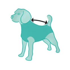 Suitical Recovery Suit Hond - Camouflage -Bekend Hondenspullen Winkel ILtF02kyXAnbRr88QvQ12b6rufTPVq metacHJvZHVjdF9yZWNvdmVyeV9zdWl0X2hvbmRfbWVkcGV0c180XzE0MTQ1NjgzNTZfOTA2OS5qcGc