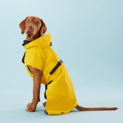 PAIKKA Visibility Raincoat Lite Yellow -Bekend Hondenspullen Winkel PClMHEr7OU9sOGs5uS5yRaglBqAzmp metaUGFpa2thLVZpc2liaWxpdHktUmFpbmNvYXQtTGl0ZS1ZZWxsb3czLmpwZw