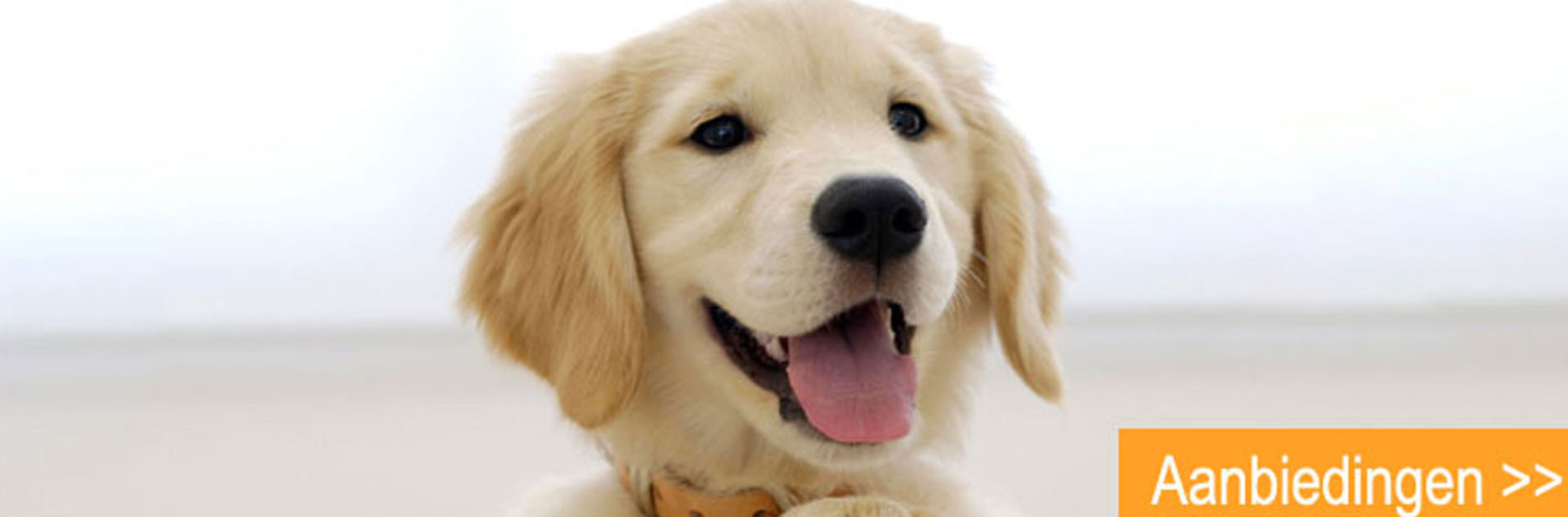 Bekend Hondenspullen Winkel -Bekend Hondenspullen Winkel SDFSG