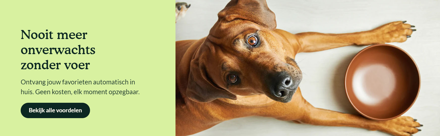 Bekend Hondenspullen Winkel -Bekend Hondenspullen Winkel UIYI