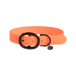 Kentucky Dogwear Soft Rubber Hondenhalsband -Bekend Hondenspullen Winkel W9DEGARRXWWjvdN5yXATvyBYWHTJ9t metaS2VudHVja3ktRG9nd2Vhci1Tb2Z0LVJ1YmJlci1Ib25kZW5oYWxzYmFuZC1vcmFuZ2UucG5n