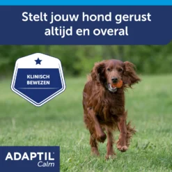 Adaptil Halsband -Bekend Hondenspullen Winkel ZlmrunwOO24idNwMXR53mReHPodTCe metaQWRhcHRpbC1jYWxtLWNvbGxhci1DYXJvdXNzZWwtNy5qcGc