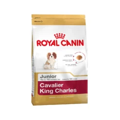 Royal Canin Cavalier King Charles Puppy - Hondenvoer -Bekend Hondenspullen Winkel a08325876bf858d1a85320c3bfd03deb4d2dabb9d3f6d280a35d41719877bba0 3 5