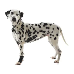 Kruuse Rehab Polsbeschermer -Bekend Hondenspullen Winkel ad643cb611002c0eb36a2ecceb9640d7689584f895d3355cd1a6f07fdcfaf43b 4