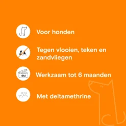 Adimere - Vlooienband 9 Adimere - Vlooienband -Bekend Hondenspullen Winkel adimere vlooienband 211586 2000 none