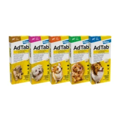 AdTab Kauwtabletten Hond -Bekend Hondenspullen Winkel adtab kauwtabletten hond 224088 2000 none