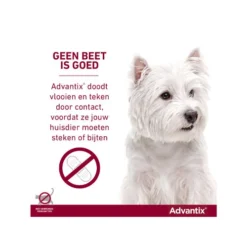 Advantix -Bekend Hondenspullen Winkel advantix 174187 0500 none