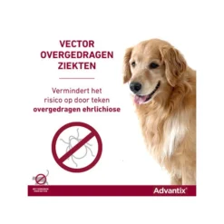 Advantix -Bekend Hondenspullen Winkel advantix 174193 0500 none