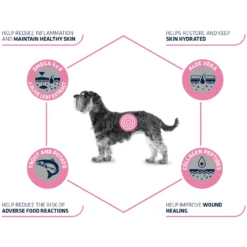 Affinity Advance Veterinary Diets Atopic Mini Hond 15 Affinity Advance Veterinary Diets Atopic Mini Hond -Bekend Hondenspullen Winkel affinity advance veterinary diets atopic mini hond 177538 1500 none