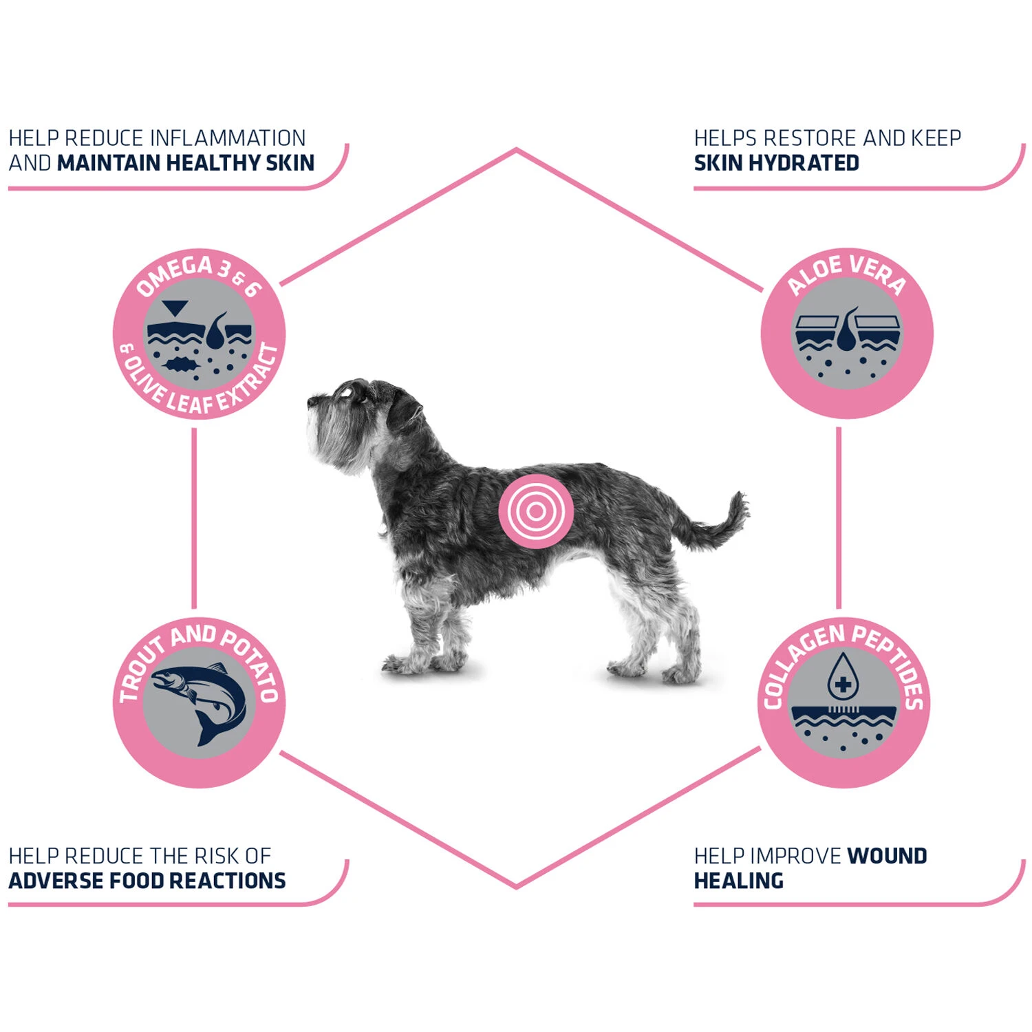 Affinity Advance Veterinary Diets Atopic Mini Hond 8 Affinity Advance Veterinary Diets Atopic Mini Hond - Afbeelding 8