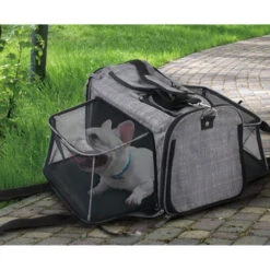 All For Paws AFP Travel Dog - Rolling Pet Carrier -Bekend Hondenspullen Winkel afp travel dog rolling pet carrier 213521 0500 none