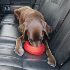 Kurgo Splash Free Wander Water Bowl -Bekend Hondenspullen Winkel altranet splash free wander water bowl 222778 0500 none