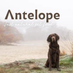 Antelope Fresh Puppy Hondenvoer -Bekend Hondenspullen Winkel antelope fresh puppy hondenvoer 217766 1000 none