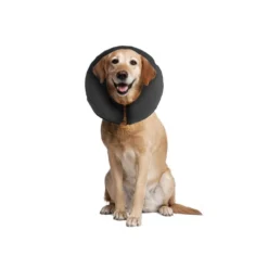 ZenPet Pro Collar -Bekend Hondenspullen Winkel b9d301add6d39657a966c48b72bc7ff13db7aeea42aea421ed1c8706f3dc0c4f 3