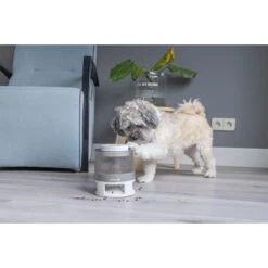 Beeztees Brain Game Delicious -Bekend Hondenspullen Winkel beeztees brain game delicious 221763 2000 none