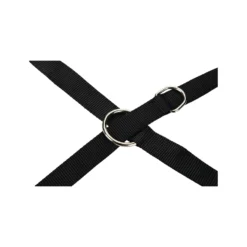 Beeztees Dressuurlijn -Bekend Hondenspullen Winkel beeztees dressuurlijn 199445 2000 none