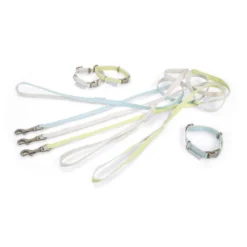 Beeztees Halsband & Lijn -Bekend Hondenspullen Winkel beeztees halsband lijn 110050 0500 none