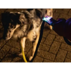 Beeztees Safety Gear Parinca Premium Hondenriem -Bekend Hondenspullen Winkel beeztees safety gear parinca premium hondenriem 215036 2000 none