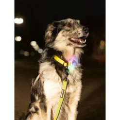 Beeztees Safety Gear Parinca Premium Hondenriem -Bekend Hondenspullen Winkel beeztees safety gear parinca premium hondenriem 215039 2000 none