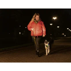 Beeztees Safety Gear Parinca Premium Hondenriem -Bekend Hondenspullen Winkel beeztees safety gear parinca premium hondenriem 215042 2000 none