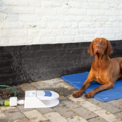 Beeztees Splashy Waterfontein -Bekend Hondenspullen Winkel beeztees splashy waterfontein 163285 2000 none