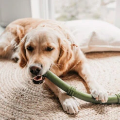 Beeztees Sumo Fit Stick 9 Beeztees Sumo Fit Stick -Bekend Hondenspullen Winkel beeztees sumo fit stick 178435 1000 none