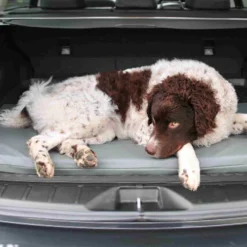 Bia Original Matras Grijs -Bekend Hondenspullen Winkel bia original matras grijs 164077 0500 none