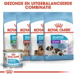 Royal Canin Starter Mousse Mother & Babydog - Hondenvoer 14 Royal Canin Starter Mousse Mother & Babydog - Hondenvoer -Bekend Hondenspullen Winkel bl4p5kMJ1OokI1JY0jjsb1ddnBlXBM metaUm95YWwtQ2FuaW4tU3RhcnRlci1Nb3Vzc2UtTW90aGVyLSYtQmFieWRvZ18wNC5qcGc