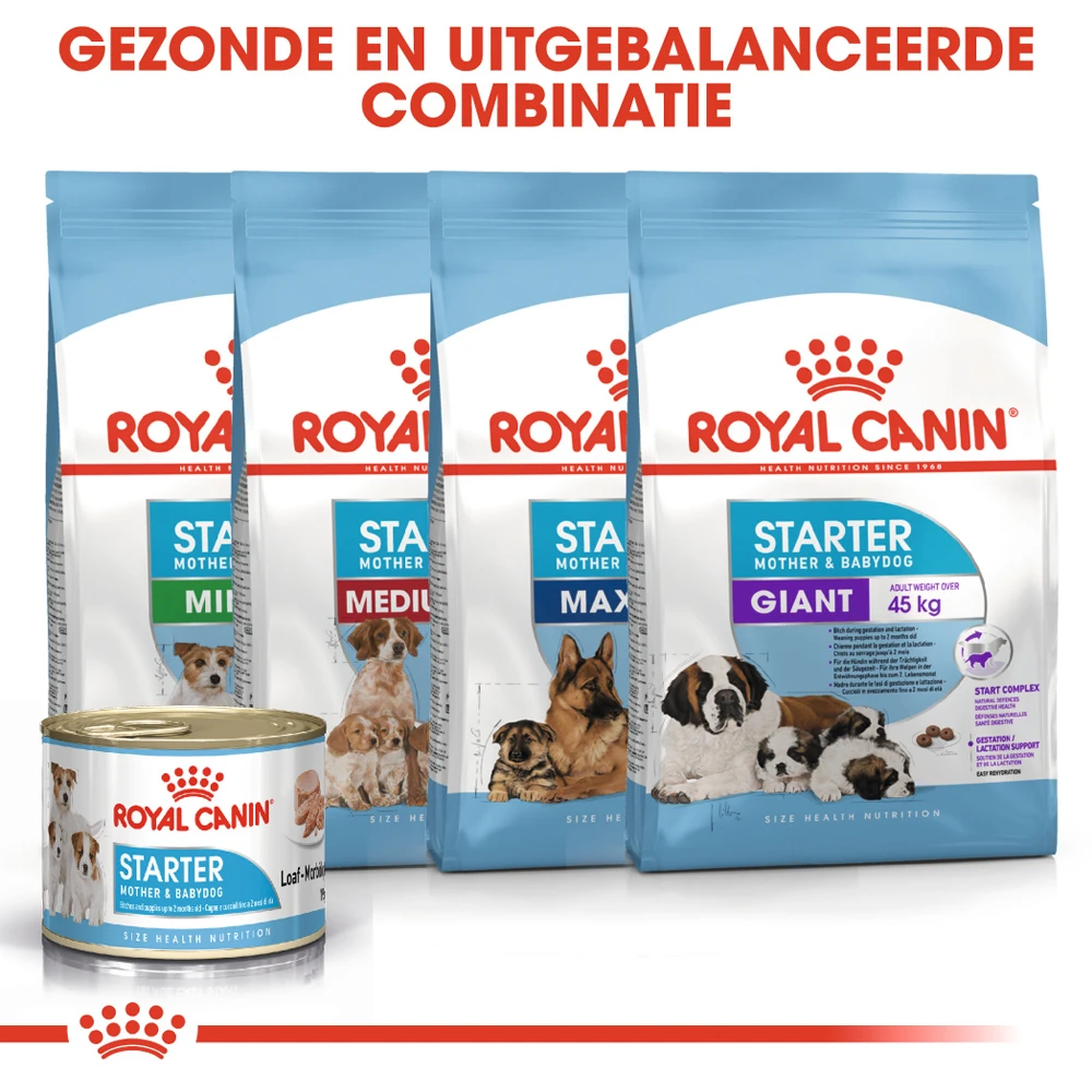 Royal Canin Starter Mousse Mother & Babydog - Hondenvoer 7 Royal Canin Starter Mousse Mother & Babydog - Hondenvoer - Afbeelding 7