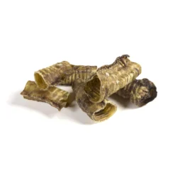 Competition Runderluchtpijp