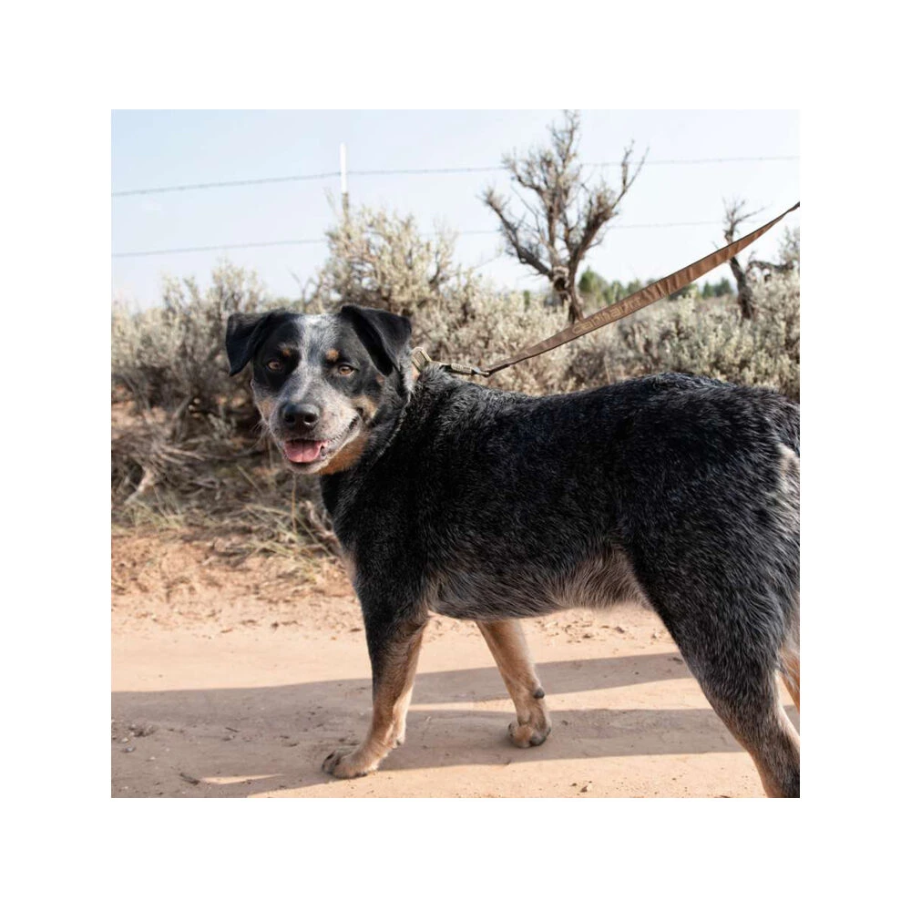 Carhartt Journeyman Leash 5 Carhartt Journeyman Leash - Afbeelding 5