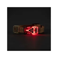 Carhartt Lighted Dog Collar -Bekend Hondenspullen Winkel carhartt lighted dog collar 187091 1000 none