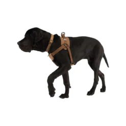 Carhartt Work Dog Harness 14 Carhartt Work Dog Harness -Bekend Hondenspullen Winkel carhartt work dog harness 186805 1000 none